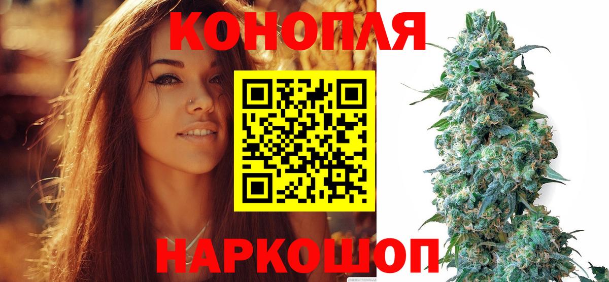 Каннабис OG Kush Хасавюрт